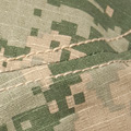 ACU Digital Camouflage Green